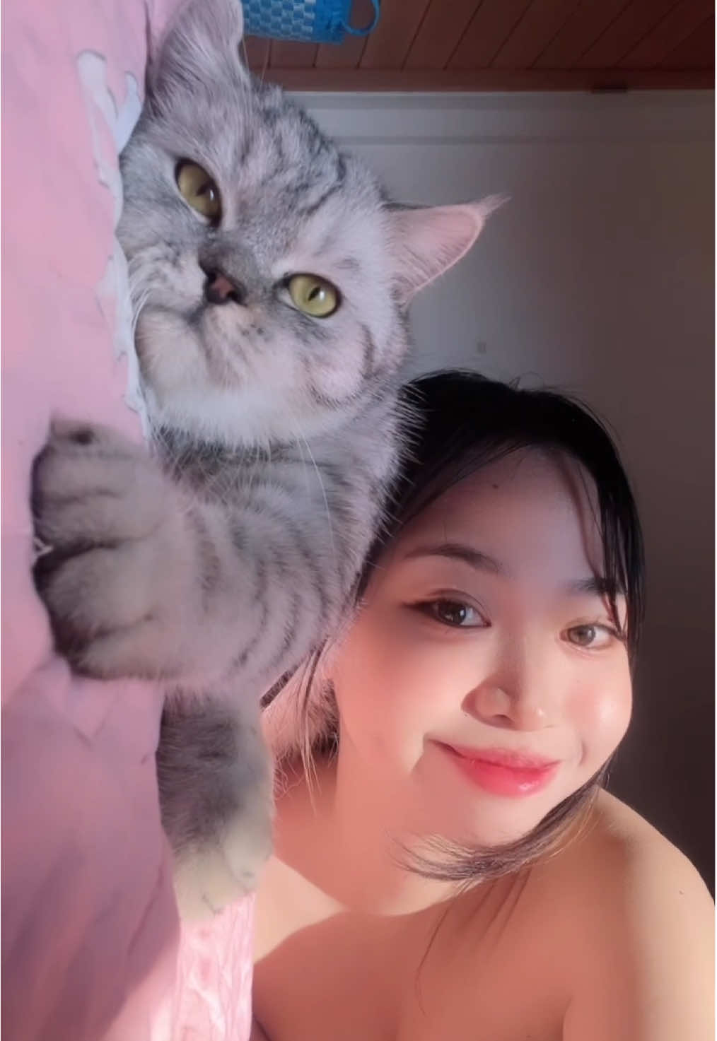 @minicat_