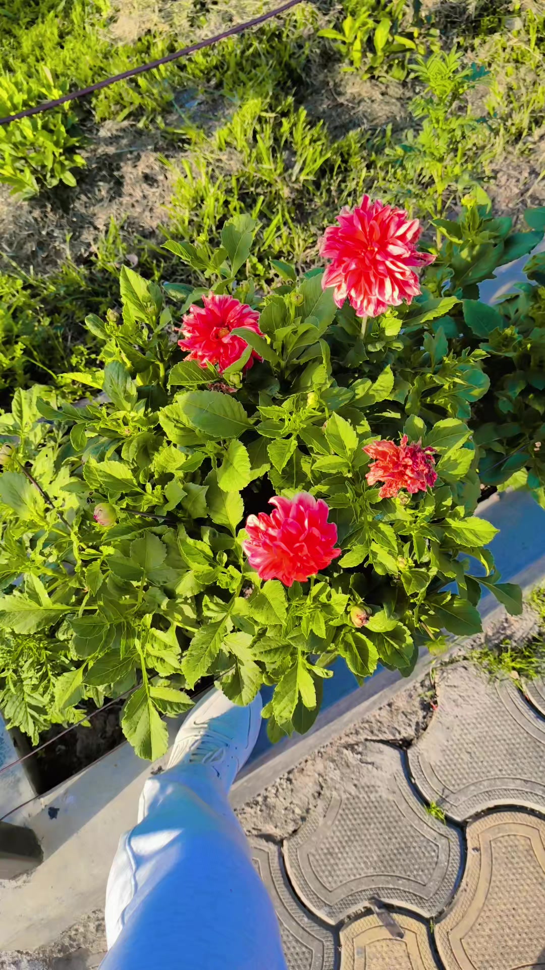 @Thapa lahure💐❤️❤️💐