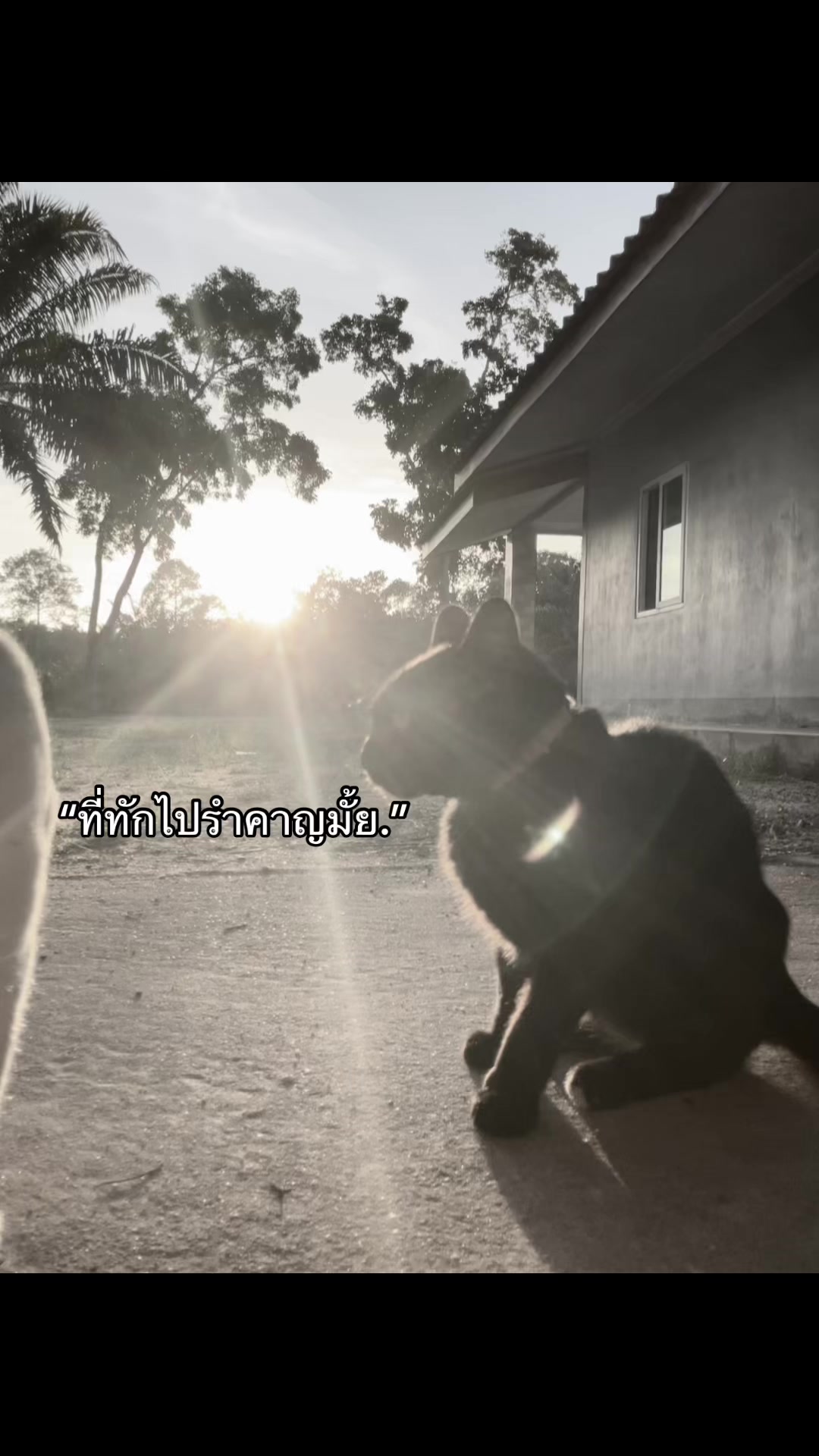 @Nam Phet⚡️💐