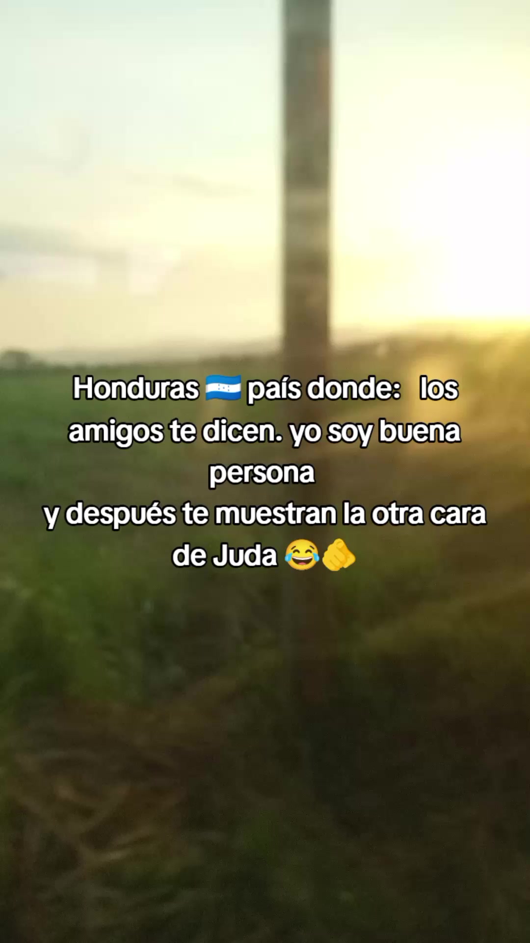 @Sebastián 74
