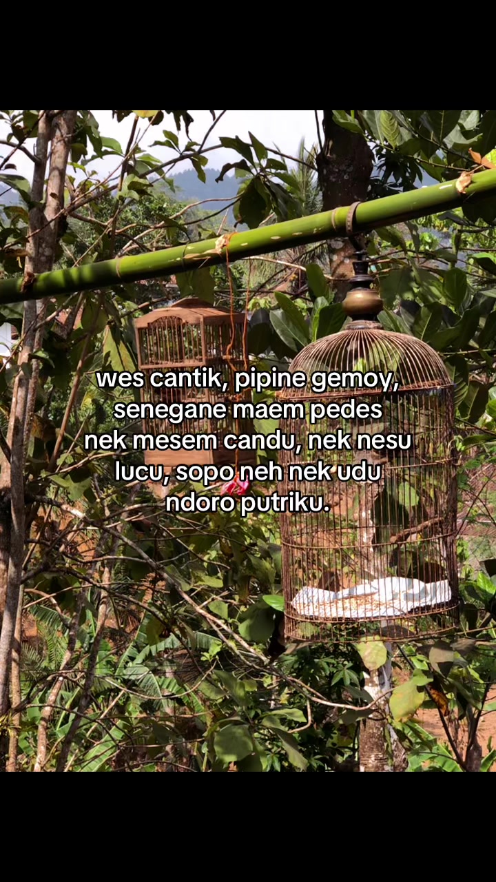 @MASALALUMU