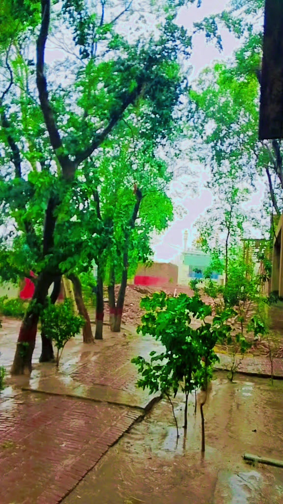 @♣️صابئ,شاھو کا نین آلہ♣️،