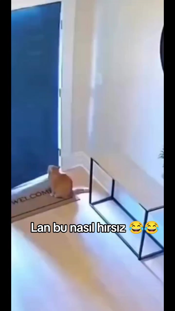 @Kader