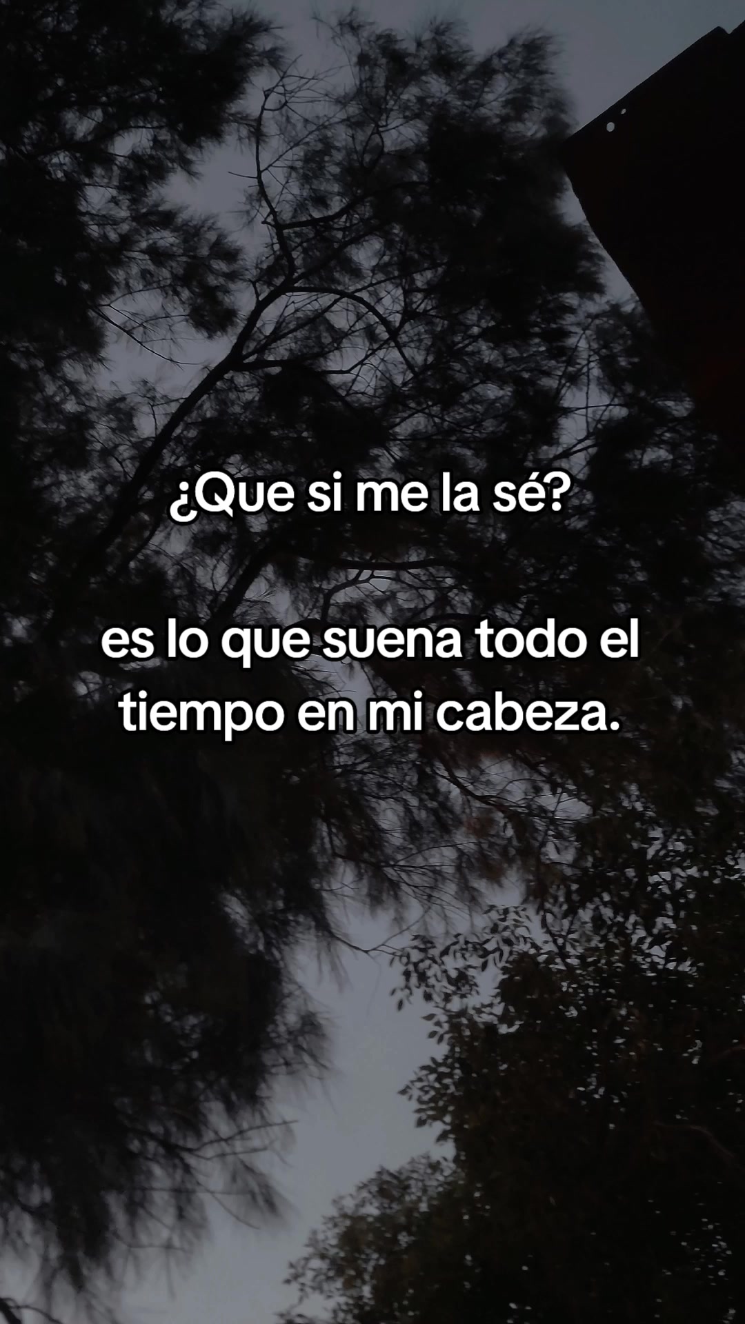@Carmesí (Madero's versión)🖤🥀