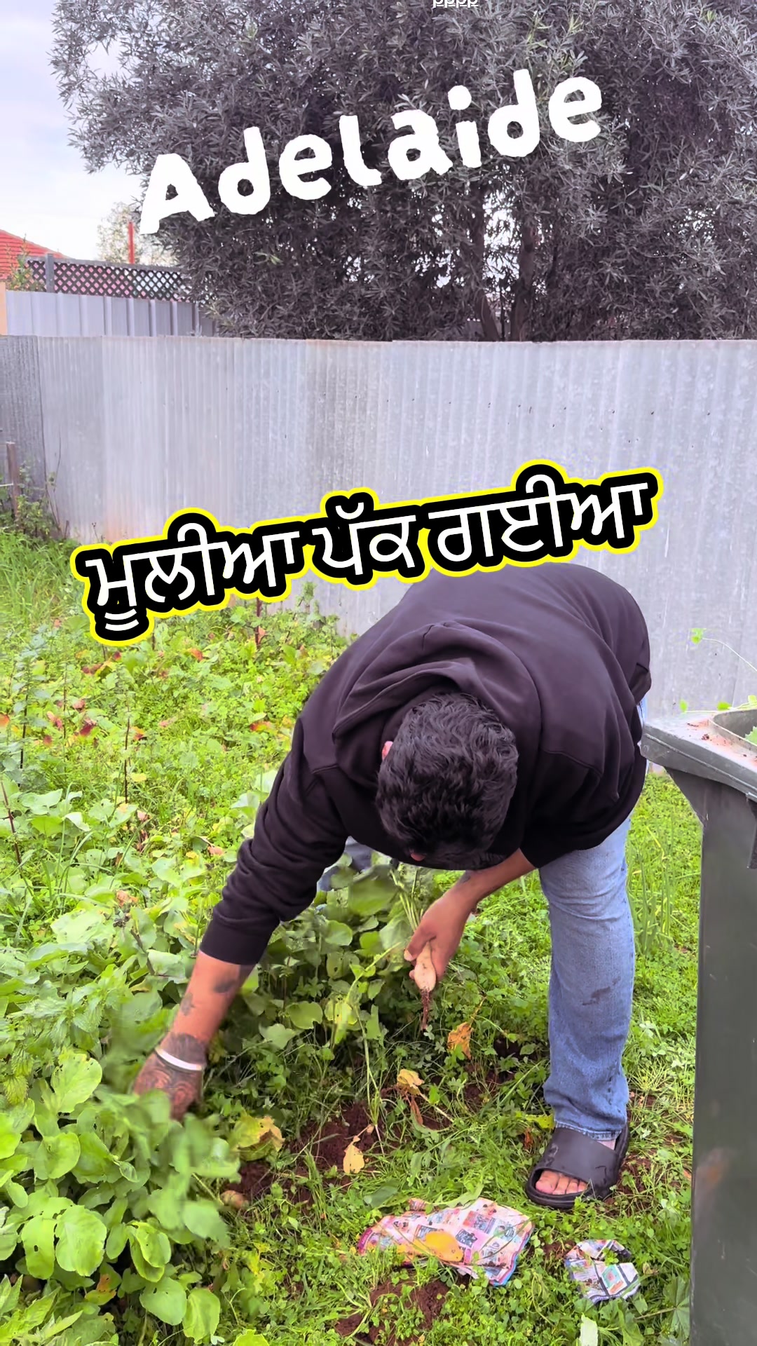 @Inder Dhindsa official