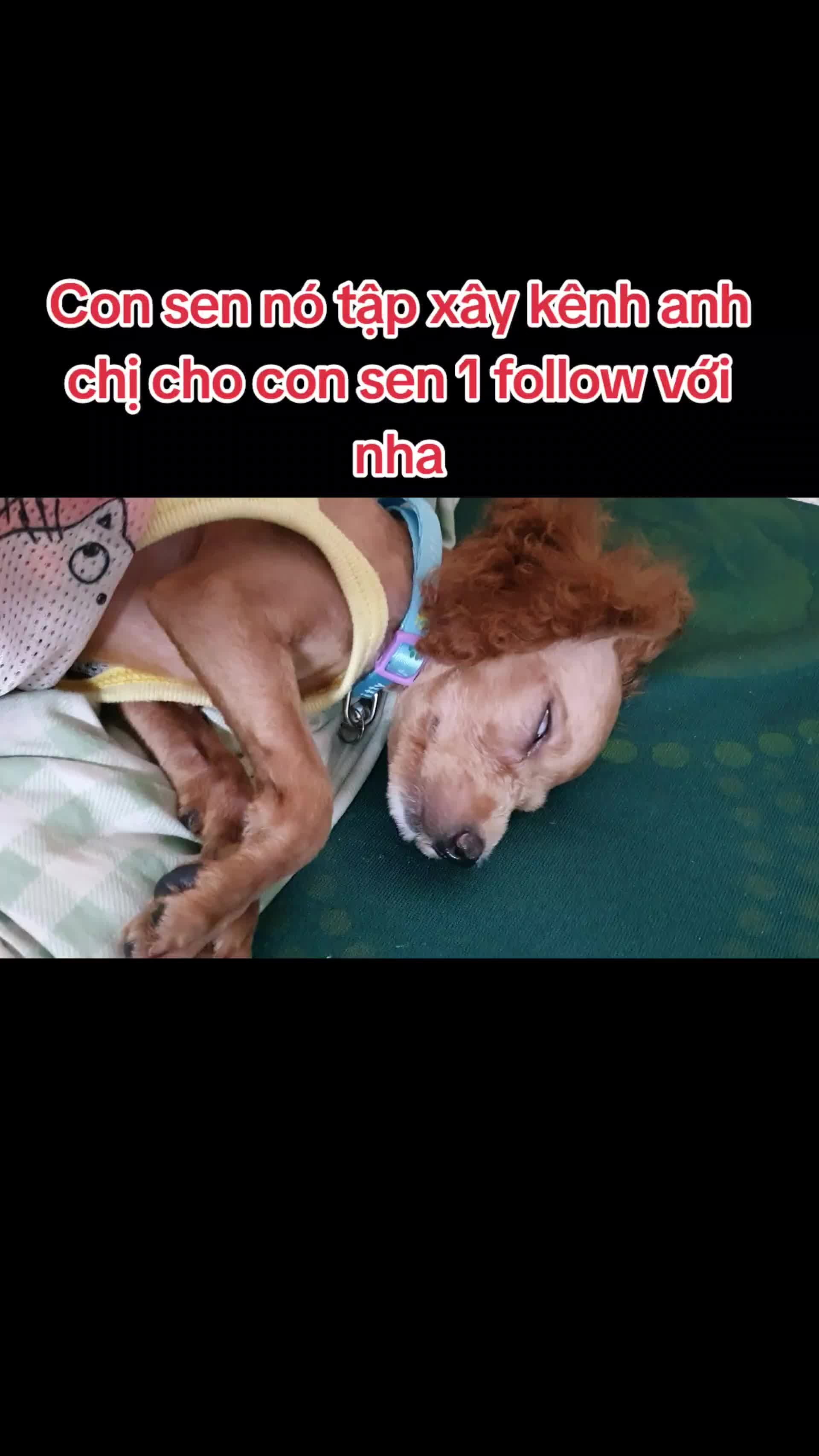 @H&ugrave;ng Chăm Chỉ