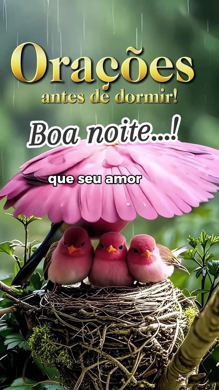 @Luzenir Silva 315