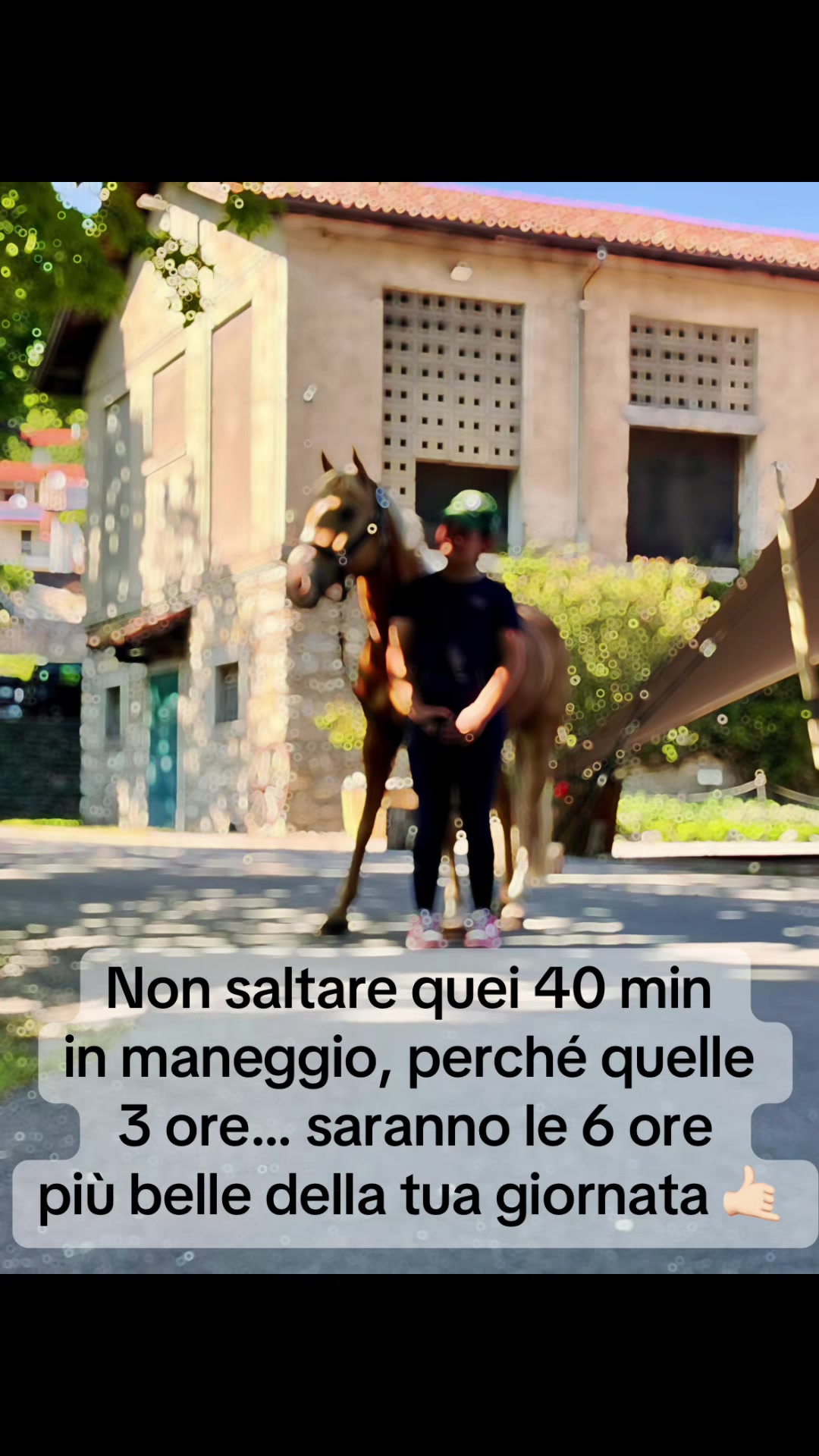 @м&iota;&alpha; 🐴💛