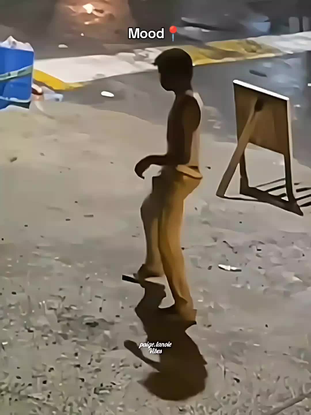 @paigelanoievibes