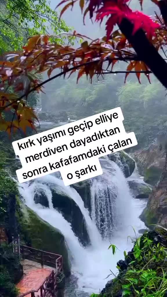 @zorkadın78