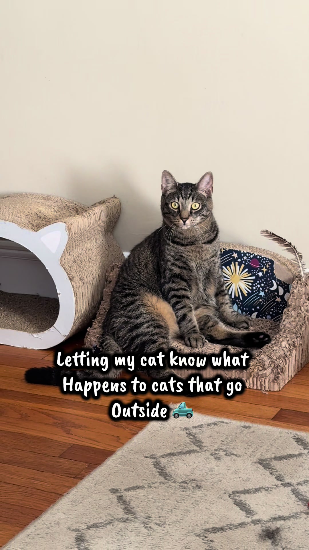 @TailsandWhiskersCo