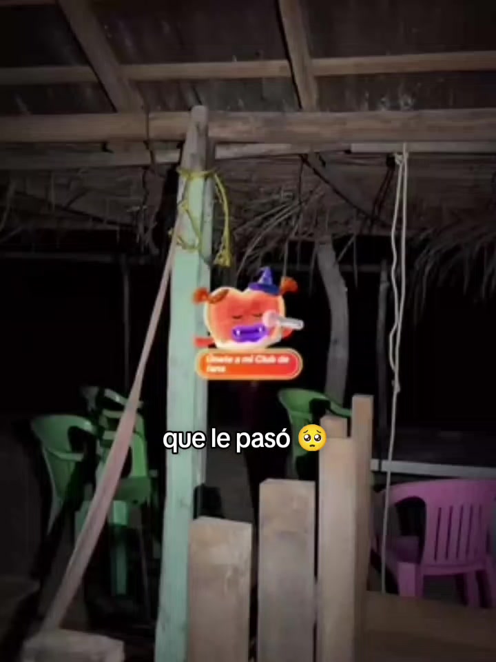 @๐๐ LIMBER ๐๐
