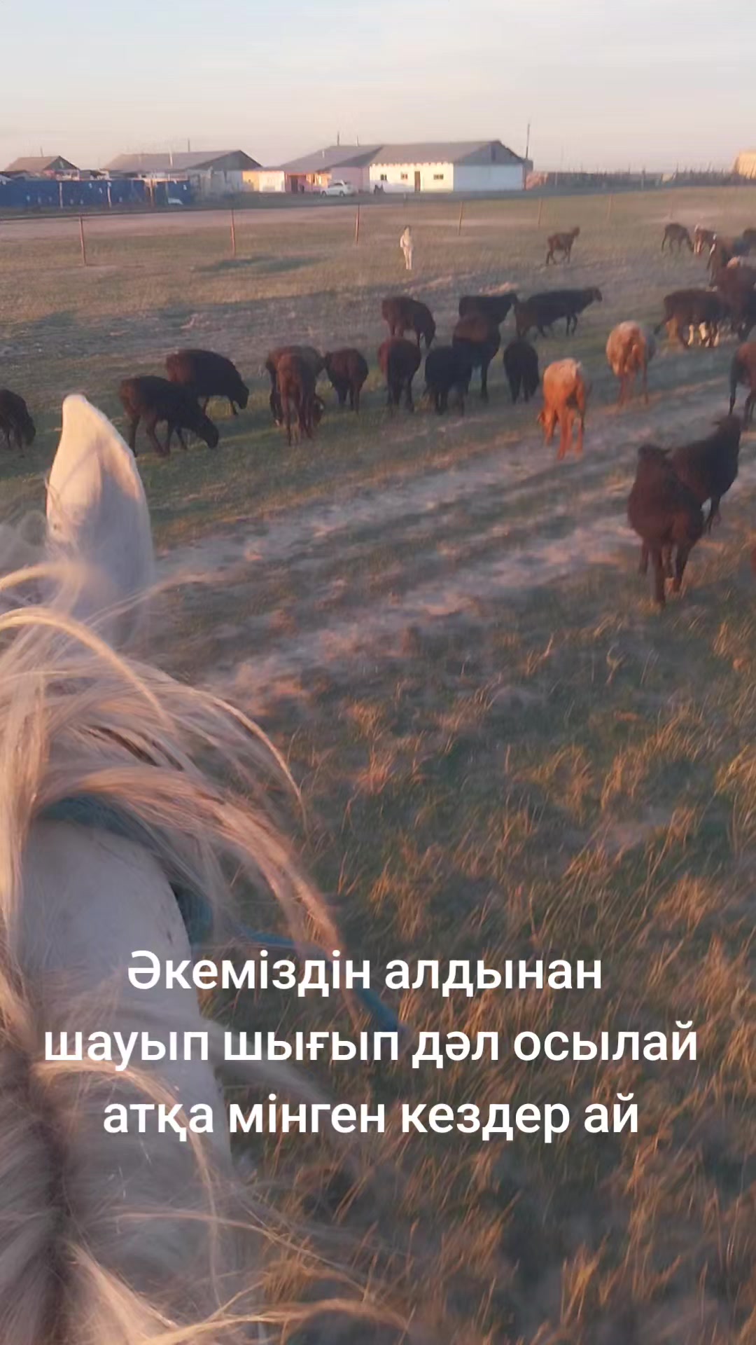 @Мержан