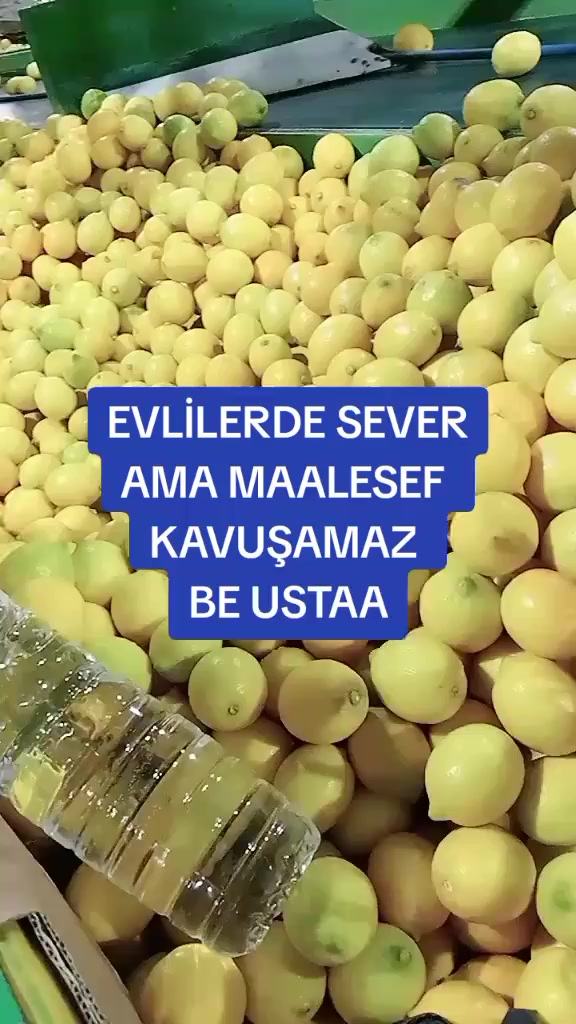 @Mira nur 33