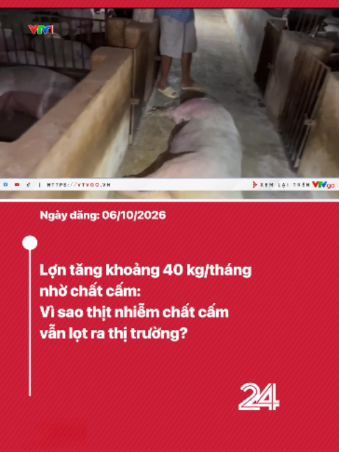 @VTV24