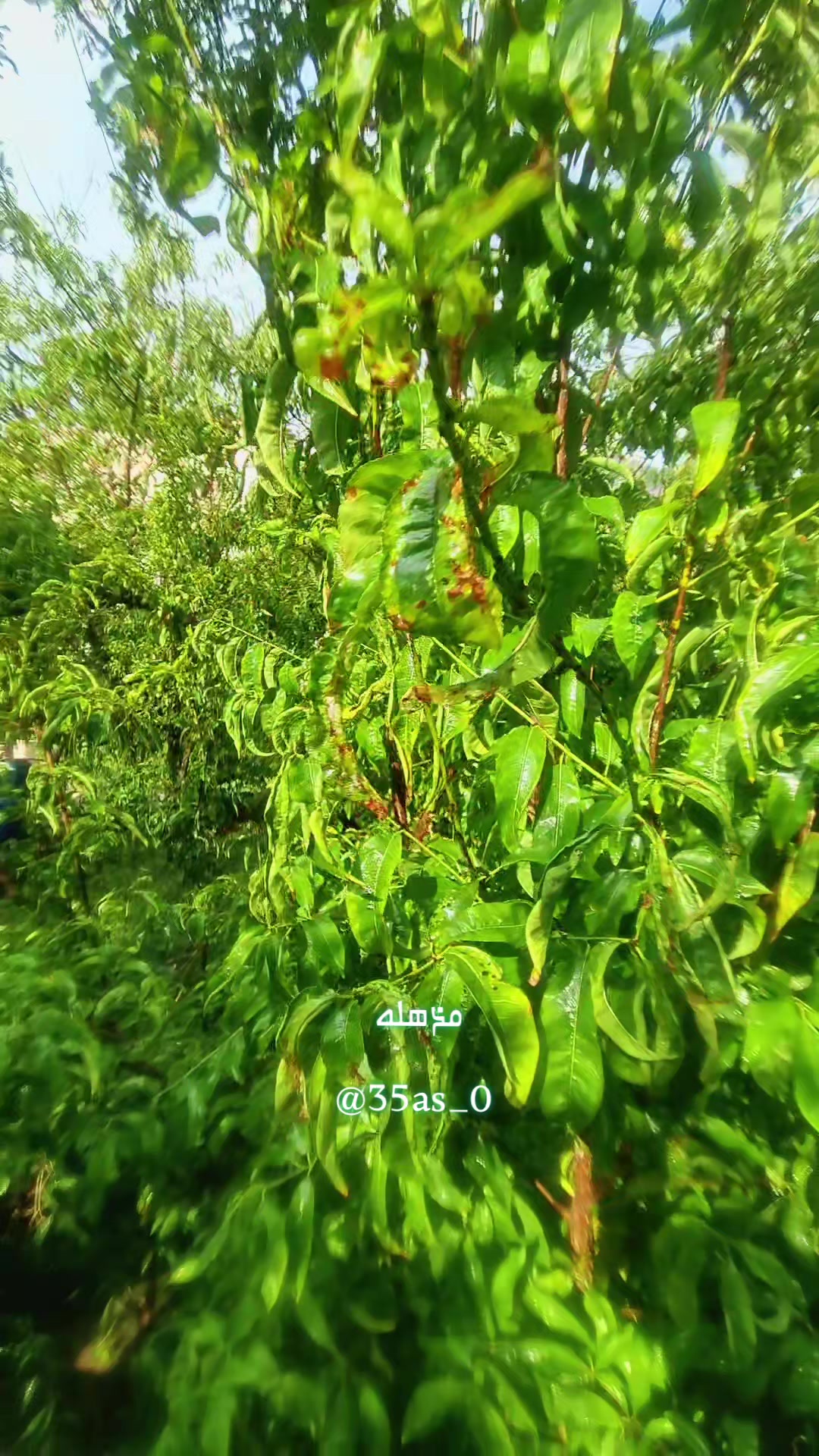 @❤️مذهله&hearts;️