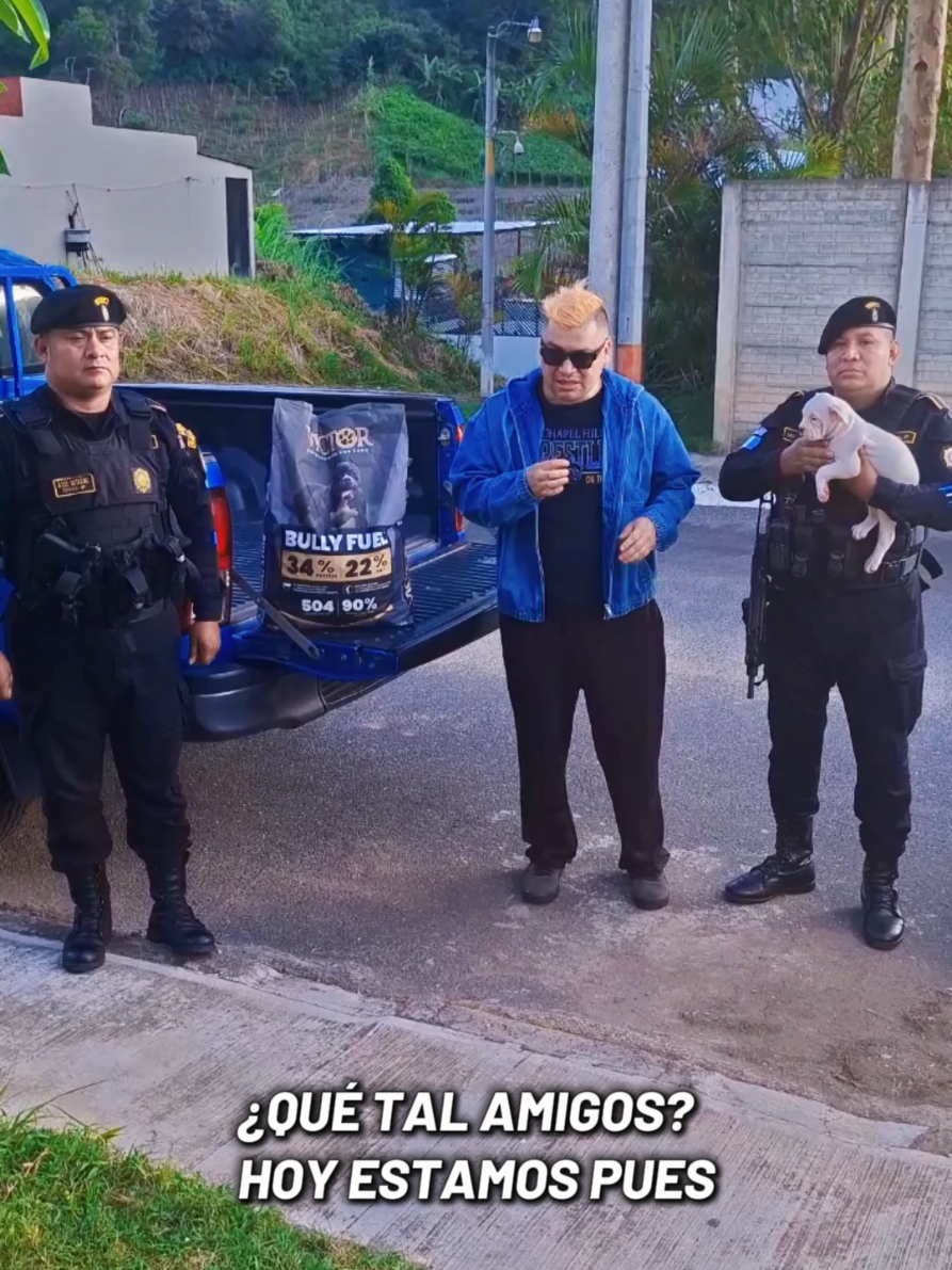 @Dogo Guatemalteco oficial