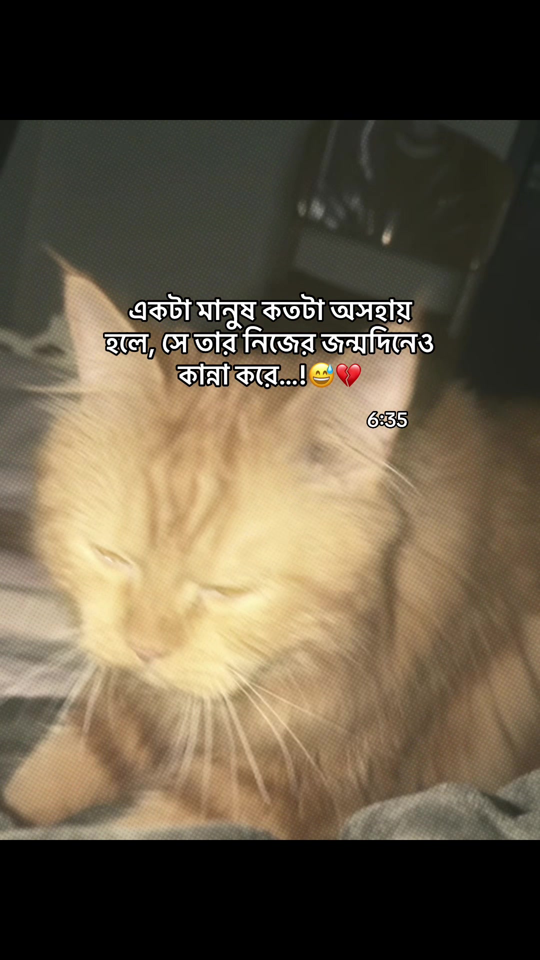 @Safa