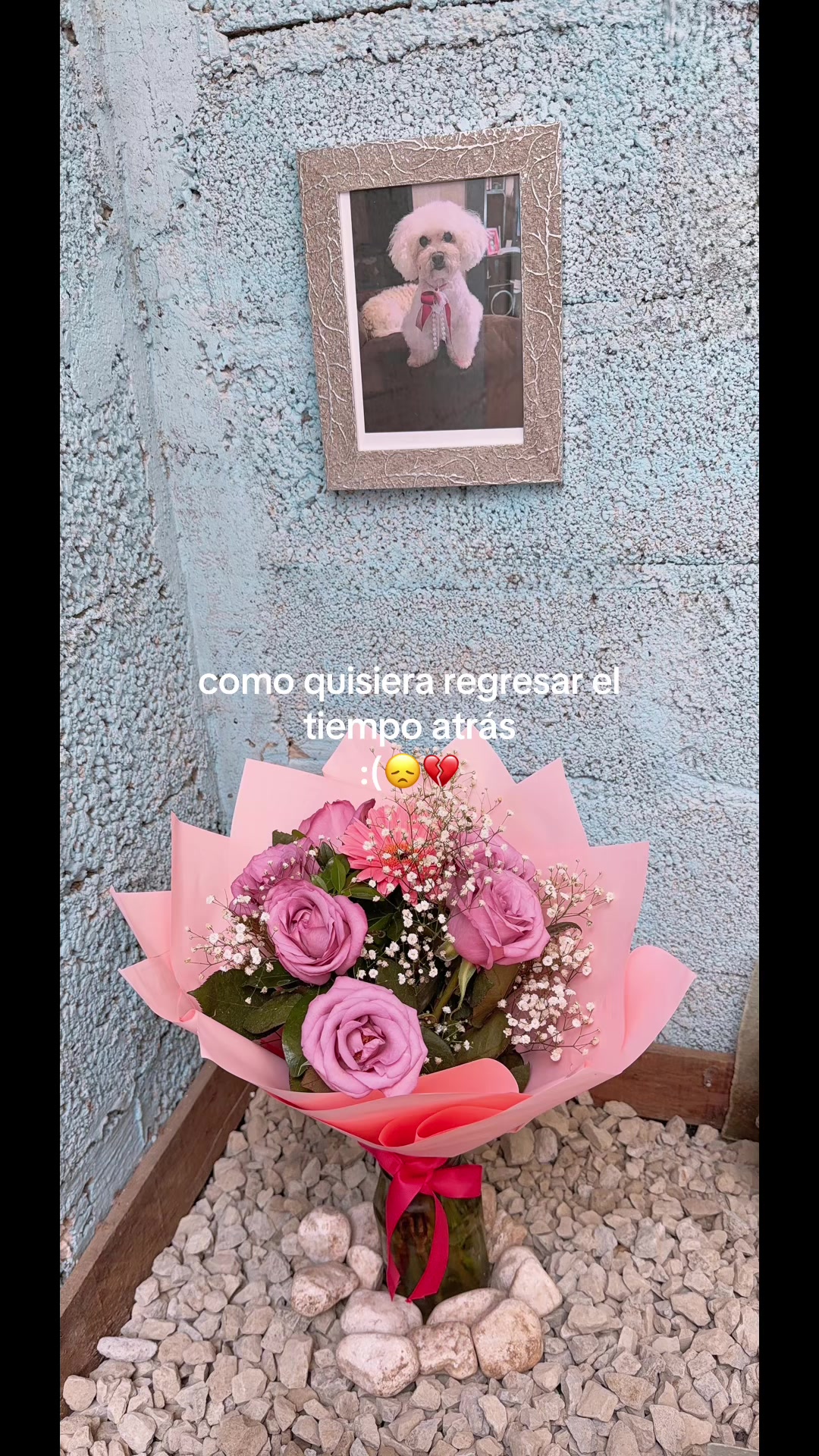 @Nayely AG