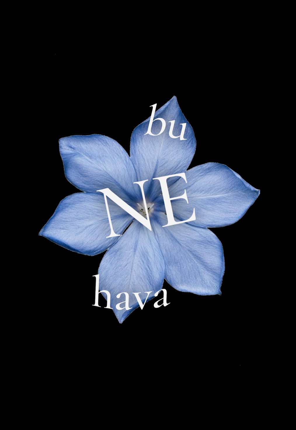 @𝑠𝑎𝑚𝑒𝑑𝑜𝑤