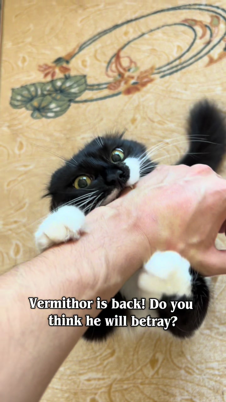 @Eren