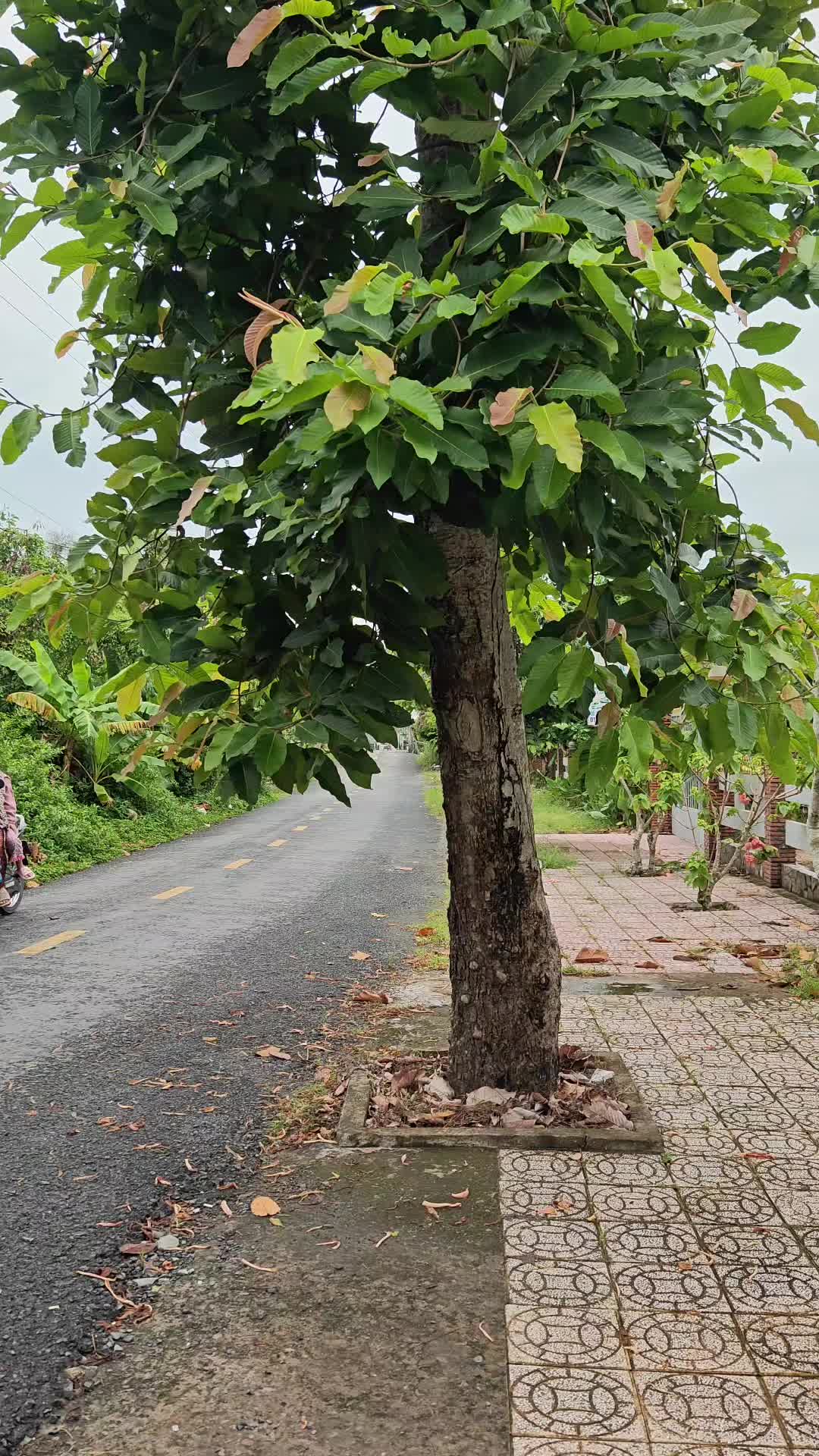 @Bất Động Sản Cần Thơ