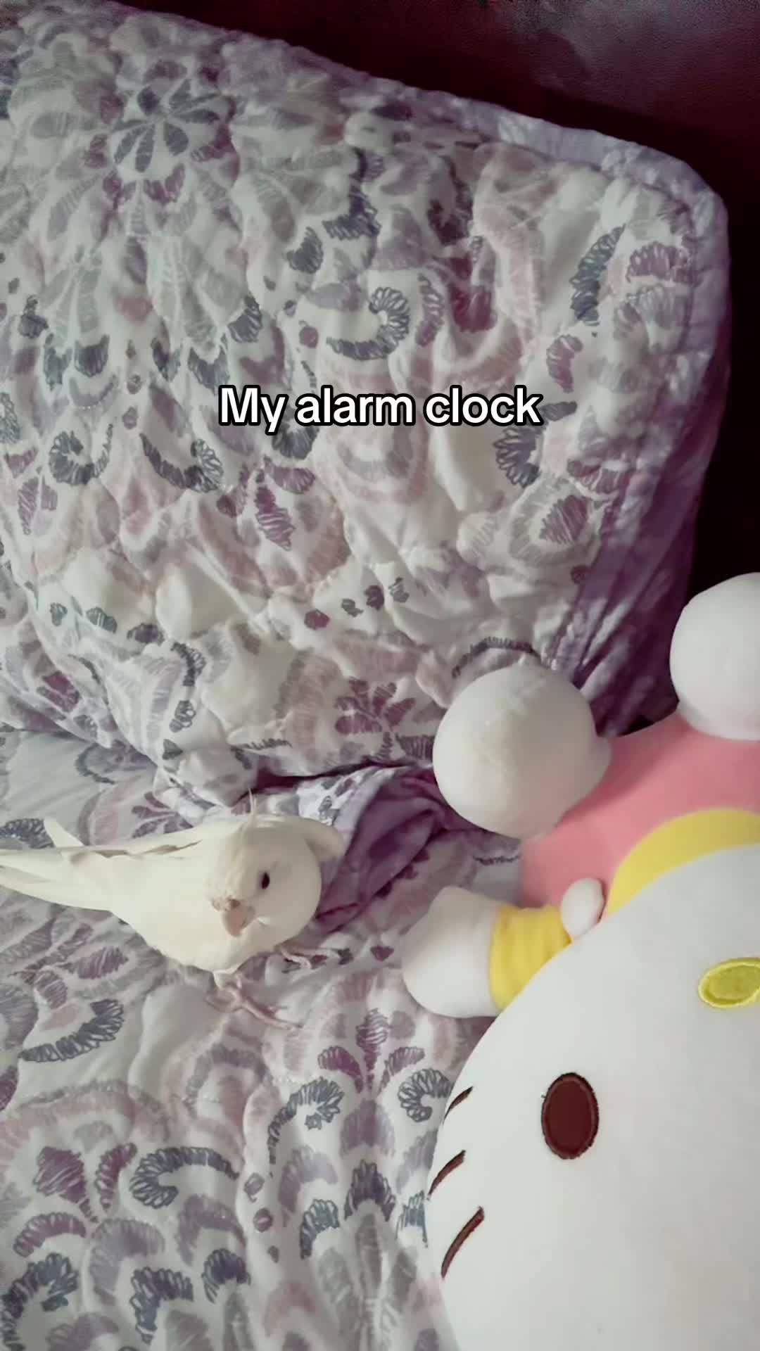 @`&middot;.&middot;★ 𝓓𝓲𝔂𝓪 ★&middot;.&middot;&acute;