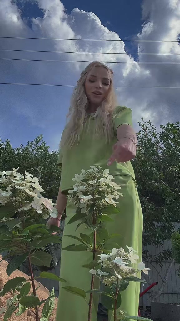 @Delyaka