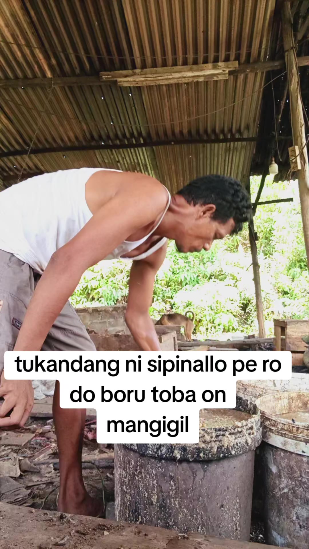 @SOPO BALIAN SI BORU TOBA
