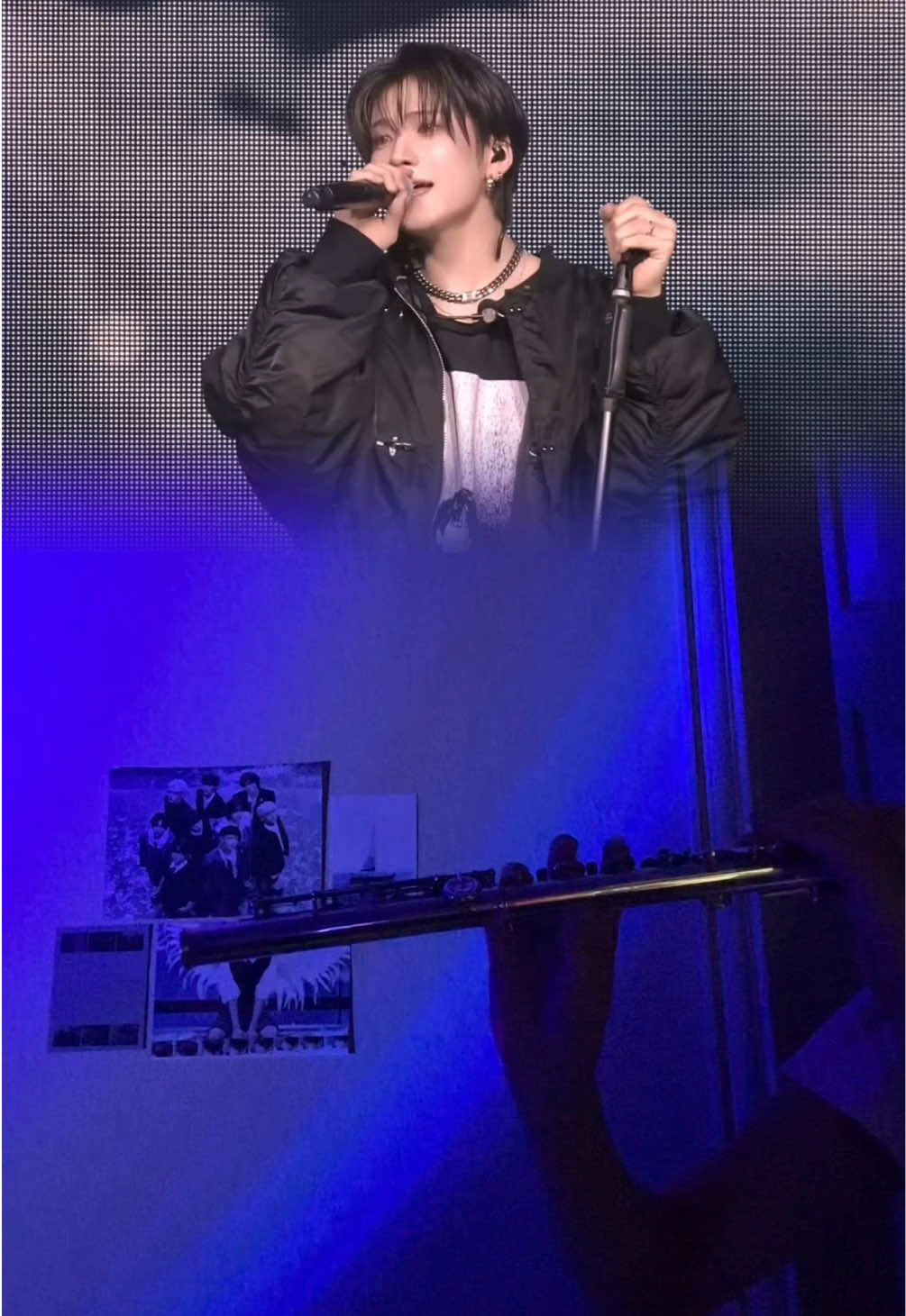 @₍^. .^₎⟆