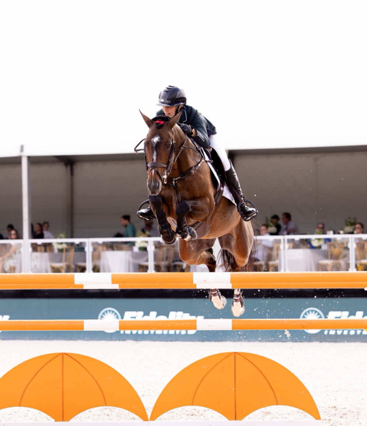 @Major League Show Jumping