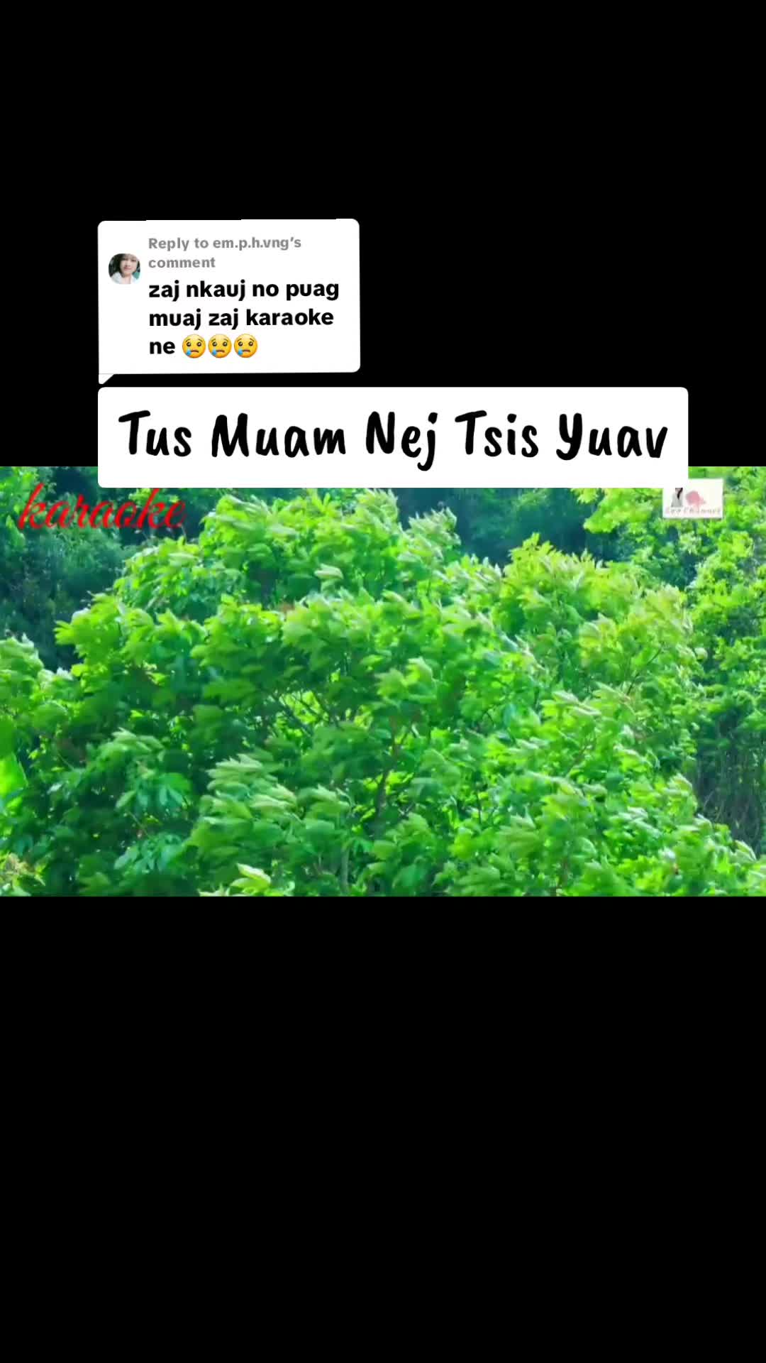 @🌺 Poj Niam Muaj Txiv 🌺