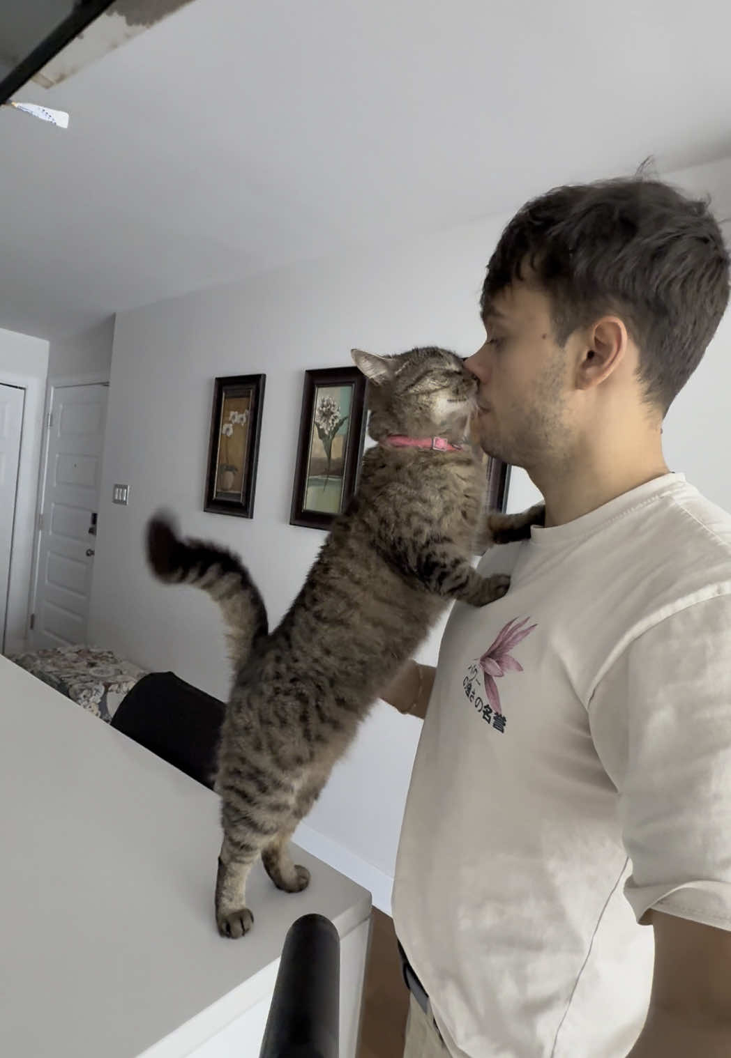 @Bellarda the cat