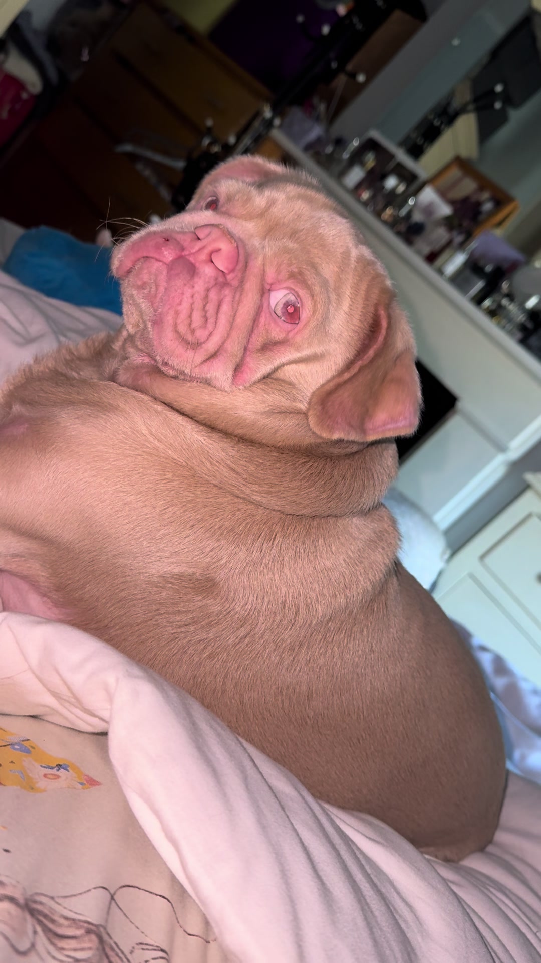@pinkpugrufus