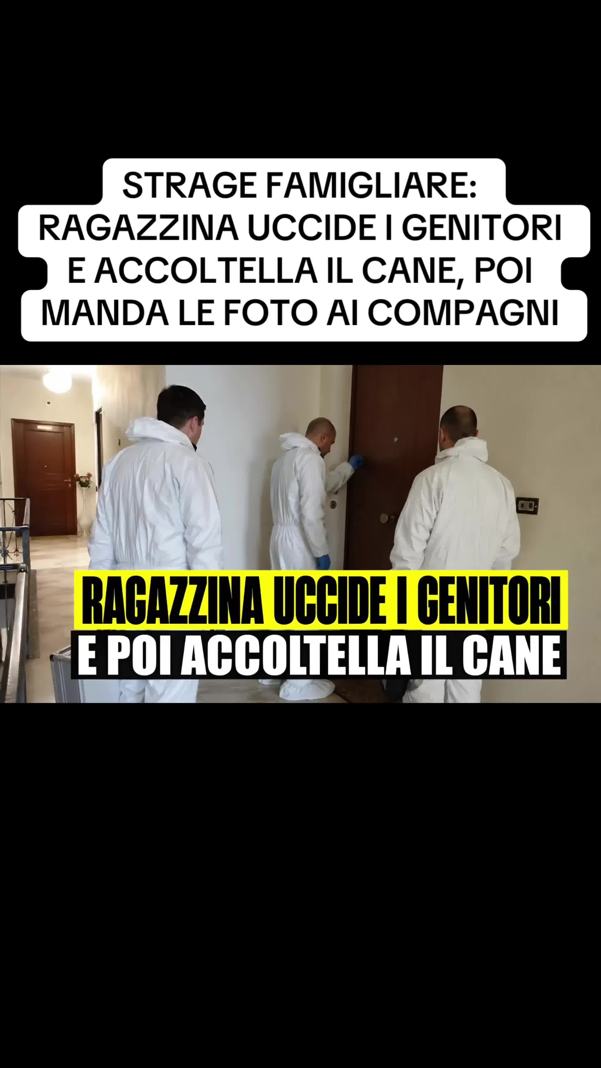 @flashtv_notizie