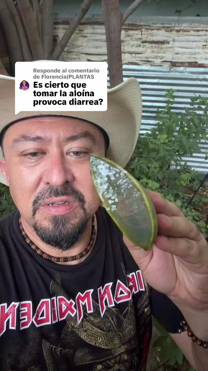@ElHierbero