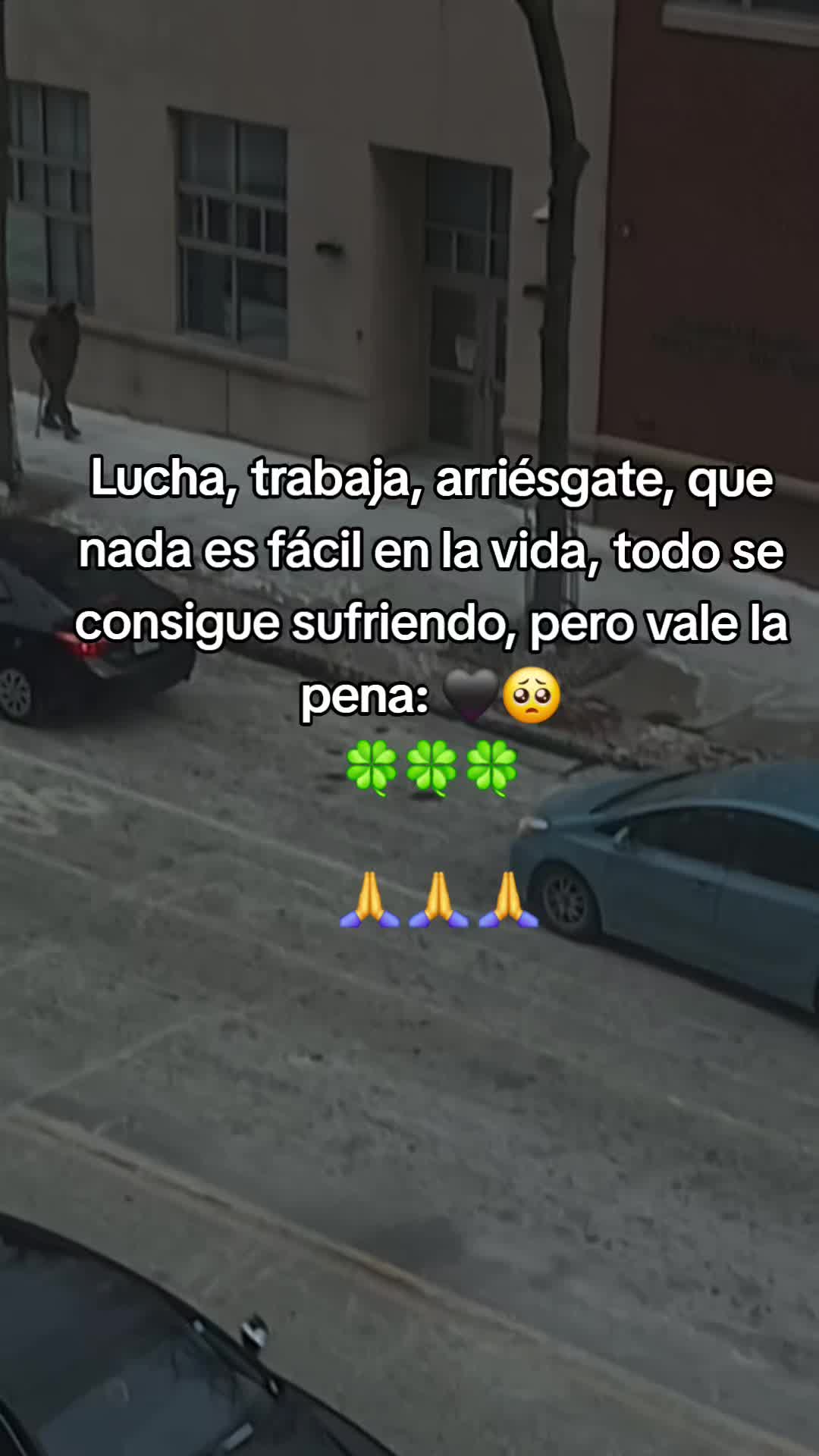 @MELY❤️💙💜🫶🫶💫🫦🥀🌹🌷🌺