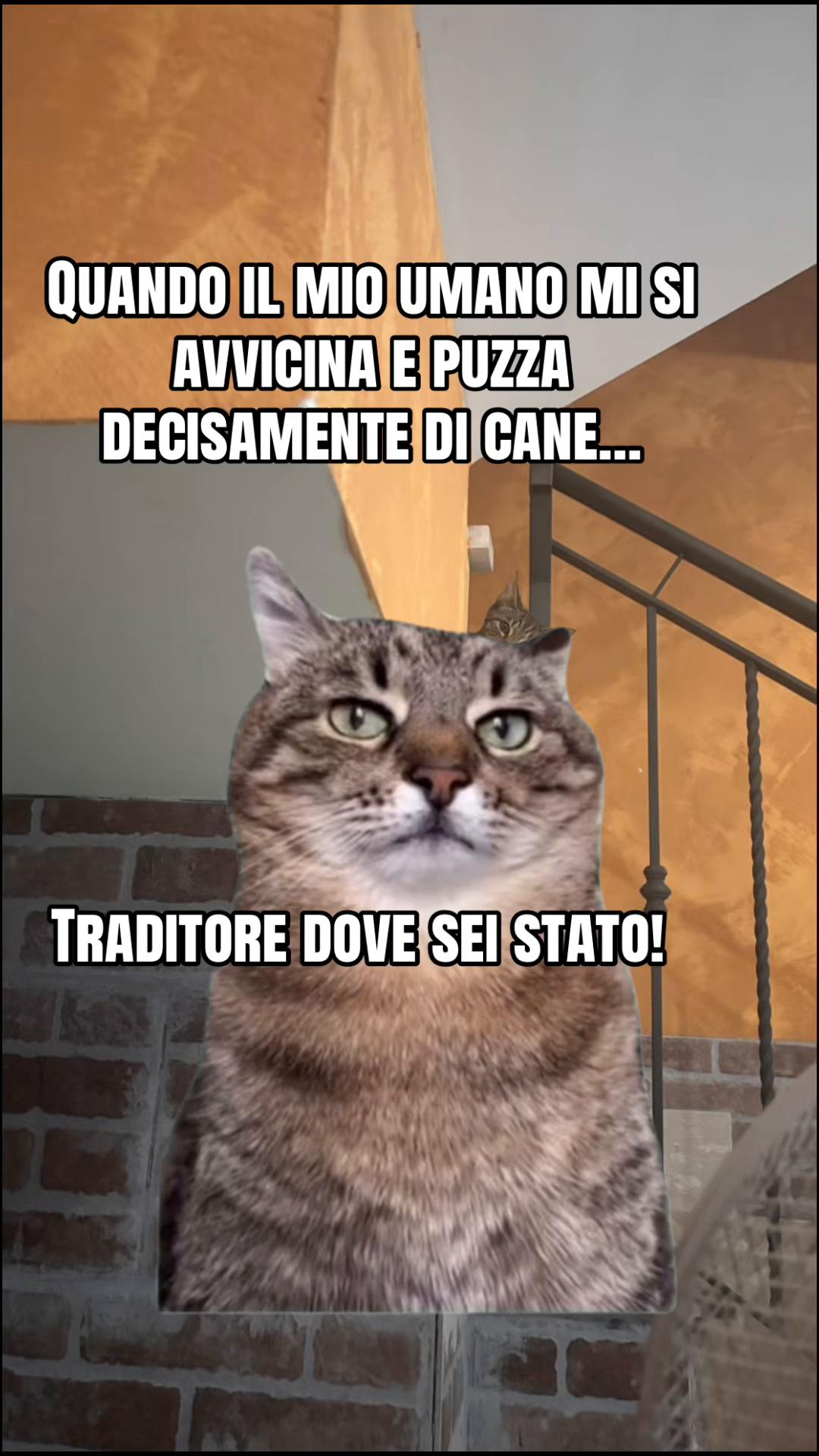 @Natascia Laura