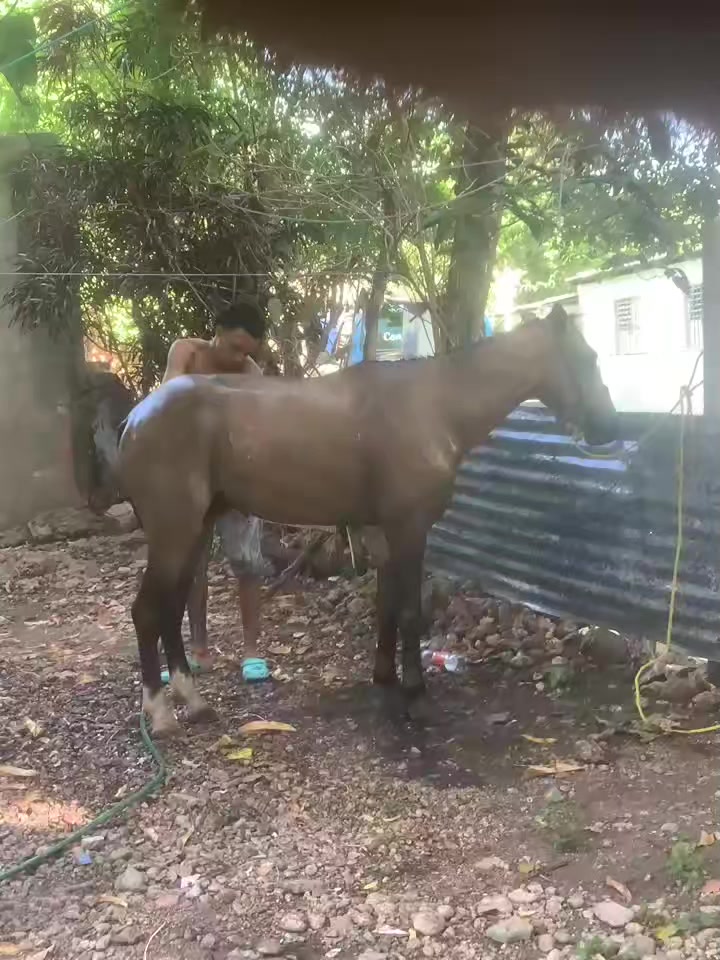 @Choco_ R🔥🦍