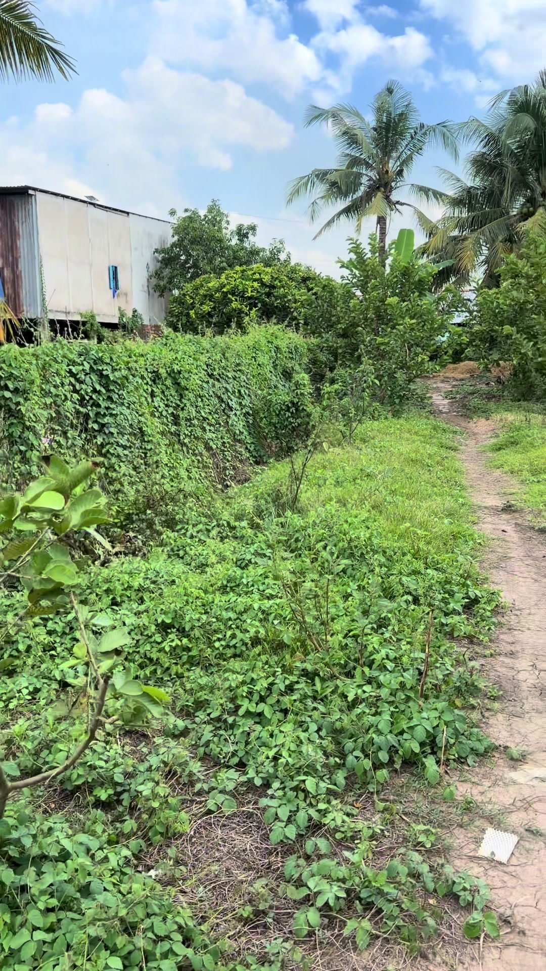 @HỚT T&Oacute;C NAM THẢO NGUY&Ecirc;N Q4