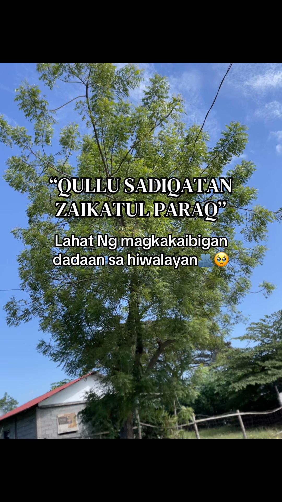 @Rayan Il