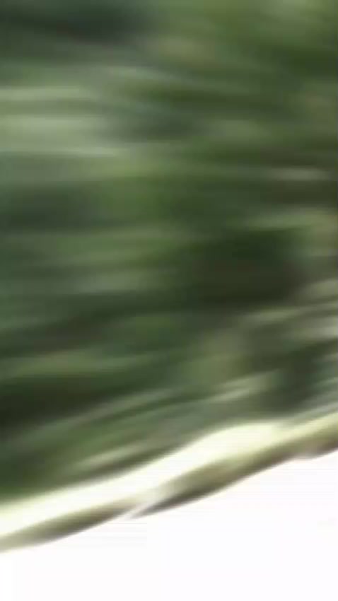 @rajubhai 786