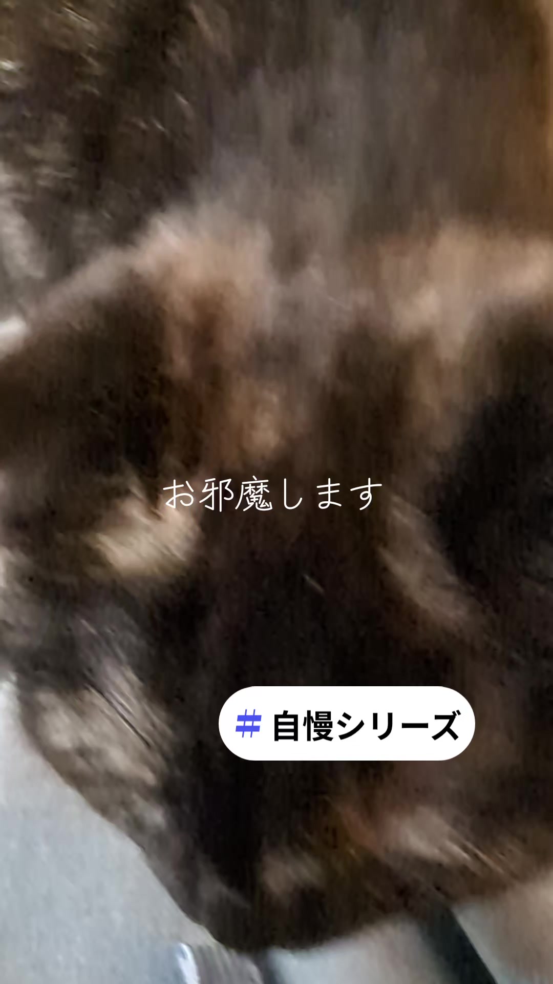 @りょうた