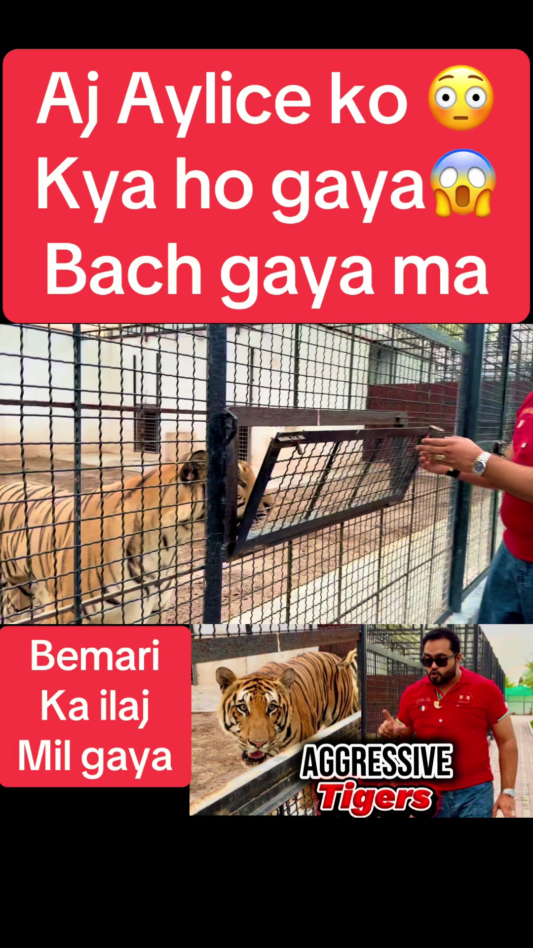 @Mian saqib