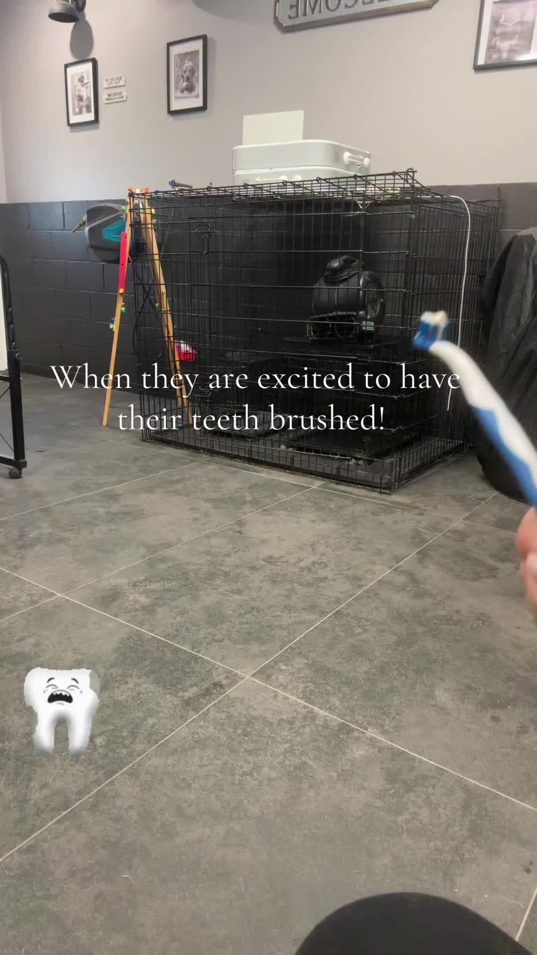 @Groomergonewild 🇨🇦