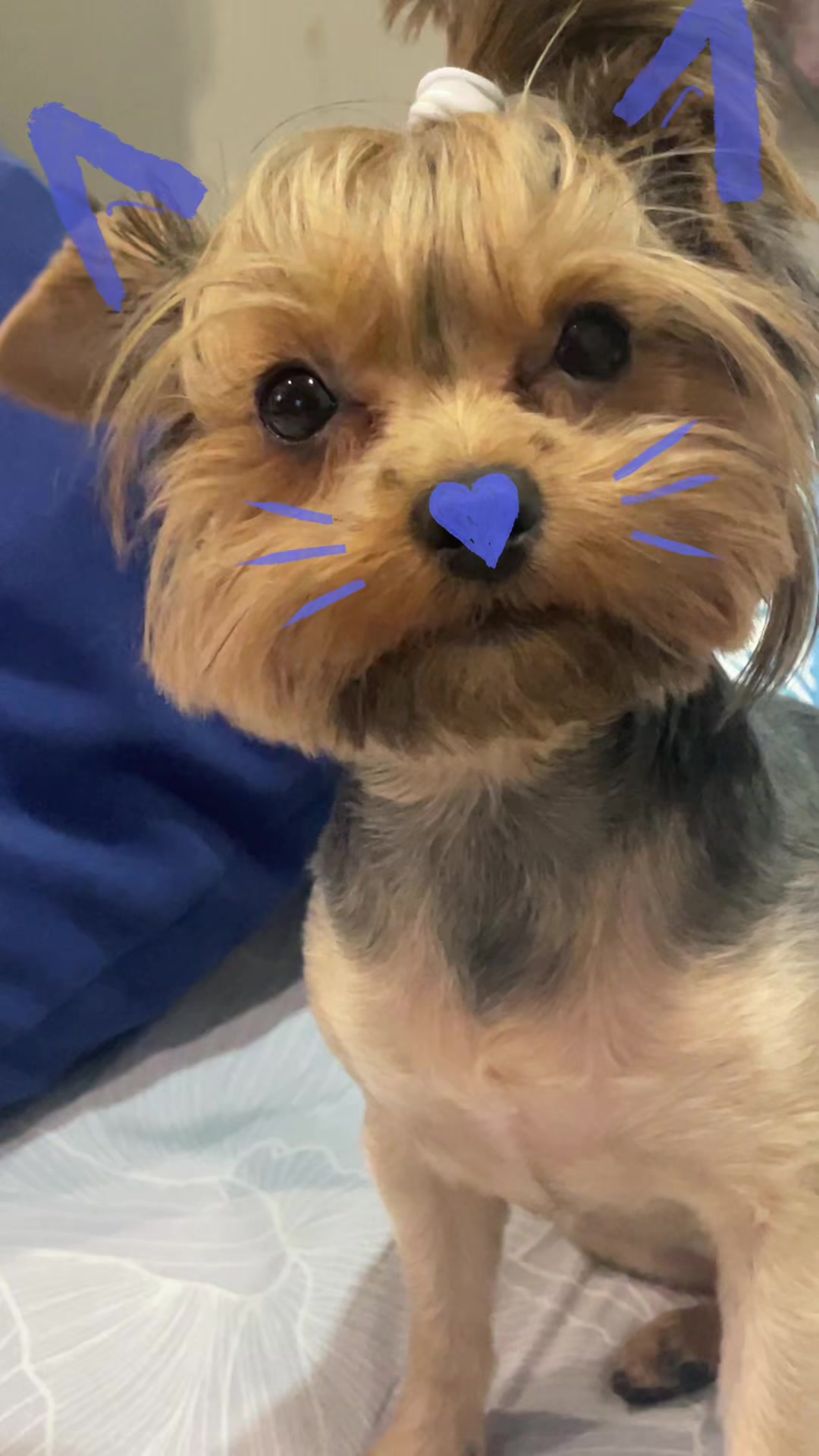 @stxshka🦭