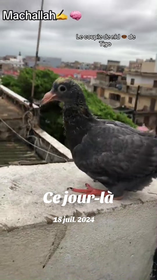 @OMZOLOFT🕊🦜🇸🇳