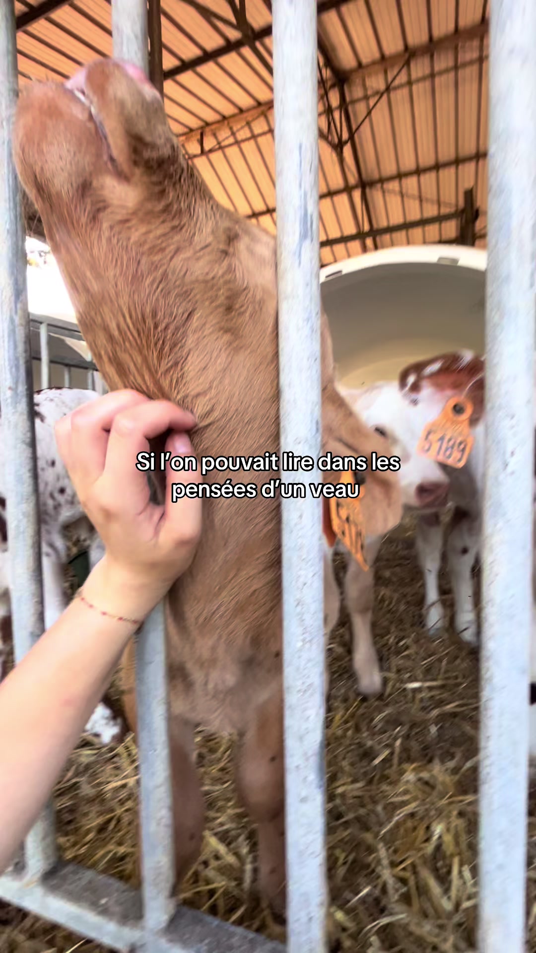 @𝑰𝒏𝒆𝒔 ᥫ᭡
