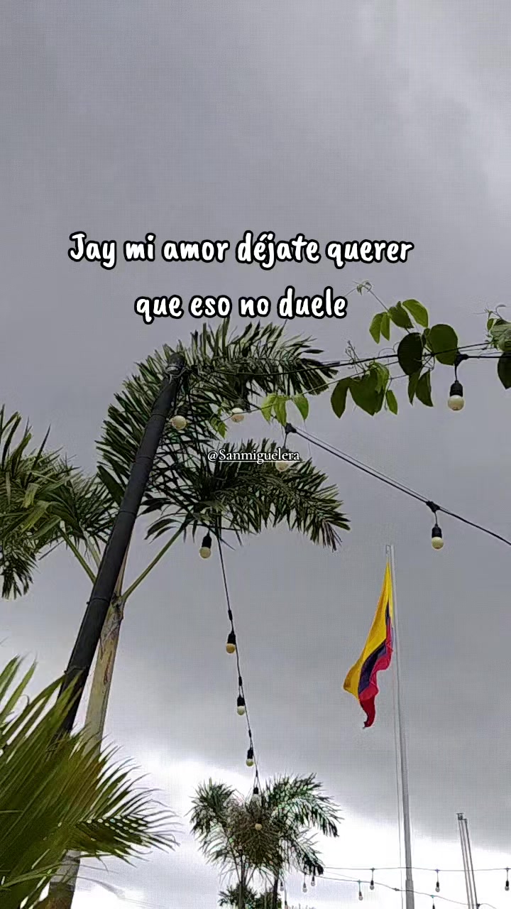 @Sanmiguelera