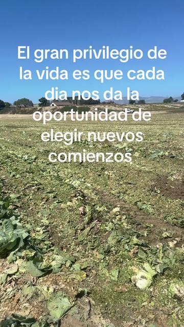 @aparicio.1267